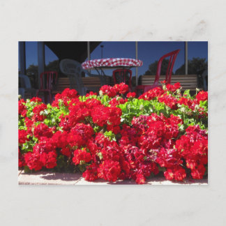 Cartão postal do Café Red Geraniums