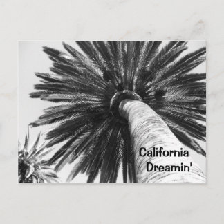 Cartão postal do California Dreamin