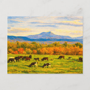 Cartão Postal do Camelo Corcunda de Vermont