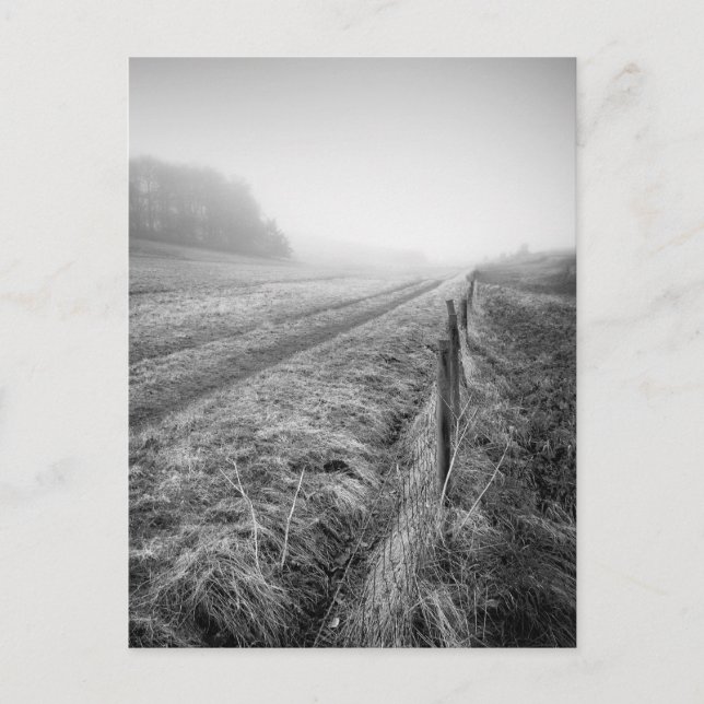 cartão postal do campo de Wiltshire enevoado (Frente)