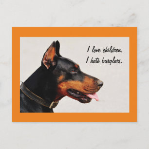 Cartão postal do cão Doberman "Eu odeio ladrões"