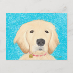 Cartão postal do cão Retriever Dourado Água Azul