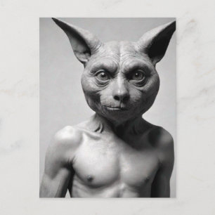 Cartão postal do Cara do Gato Estranho