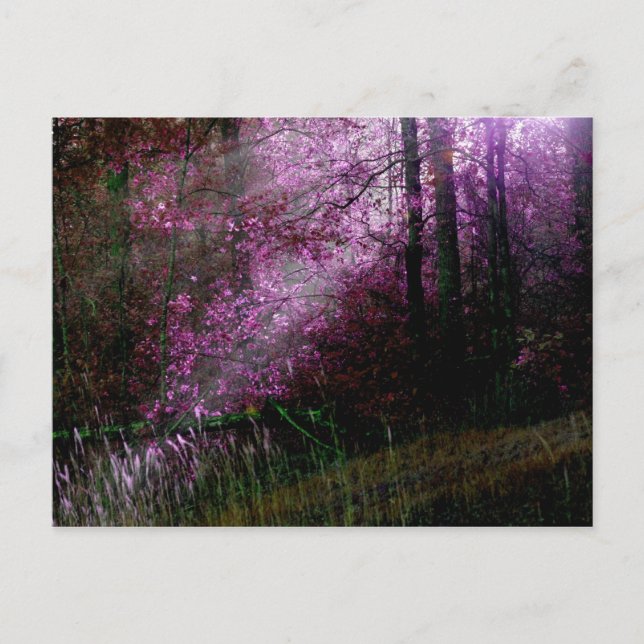 Cartão Postal Do Cartão-postal das Trevas (Frente)