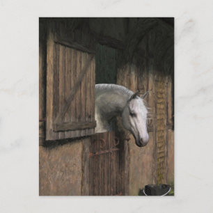 Cartão postal do cavalo cinza na porta do estábulo