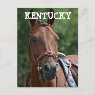 Cartão postal do CAVALO DE CORRIDA de LOUISVILLE K