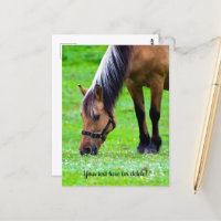 Cartão postal do cavalo Fjord Norueguês