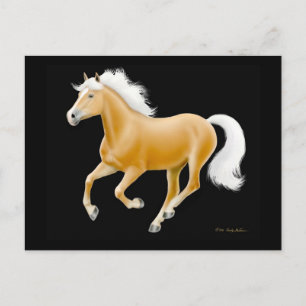 Cartão postal do cavalo Palomino Haflinger