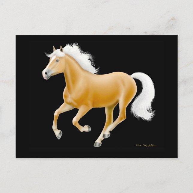 Cartão postal do cavalo Palomino Haflinger (Frente)