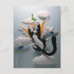 Cartão postal do céu dos gatos