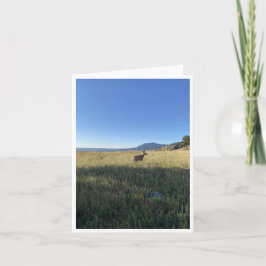 Cartão Postal do Colorado 5