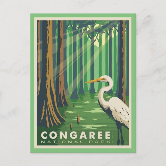 Cartão postal do Congaree National Park SC (Frente)