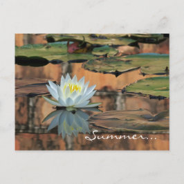 Cartão-postal do Convite de festas Solstício de Ve