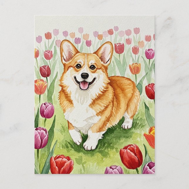 Cartão postal do Corgi Fofo nos Tulipas (Frente)