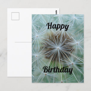 Cartão postal do dente-de-leão branco