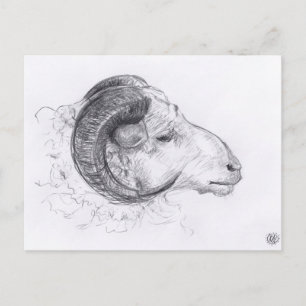 Cartão postal do desenho original de Carneiro