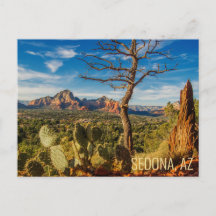 Cartão postal do deserto de Sedona Arizona com Cac