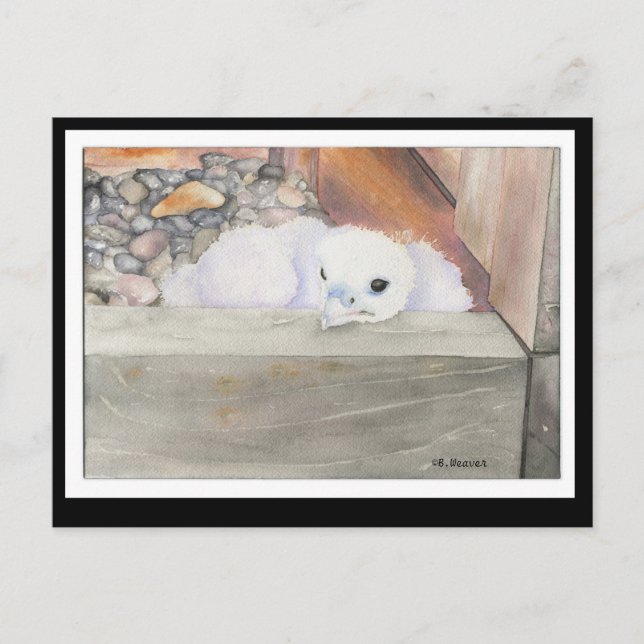 Cartão postal do design B.Weaver Orion (Frente)