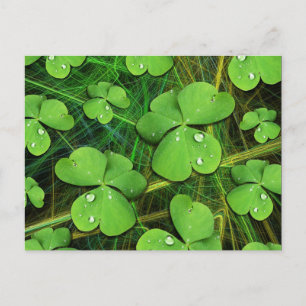 Cartão postal do Dia de São Patrício Shamrock Verd