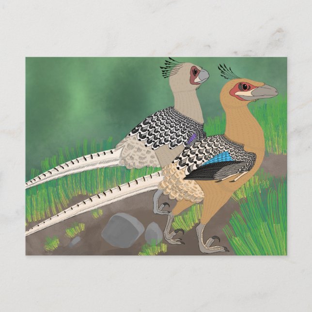 Cartão postal do dinossauro - Acheroraptor (Frente)