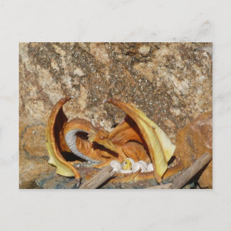 Cartão Postal do Dragão