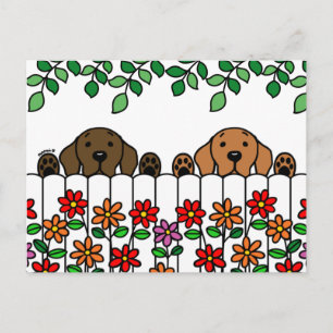 Cartão postal do Duo Labrador Observando Você