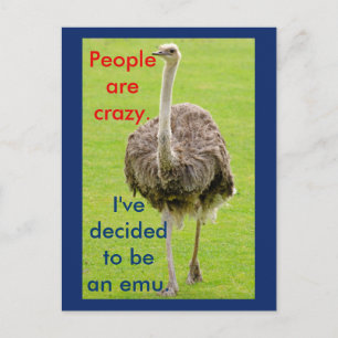 Cartão postal do Emu engraçado
