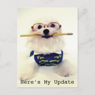 Cartão Postal Do Estudante ao Pai