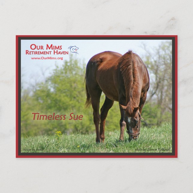 Cartão postal do eterno (Frente)