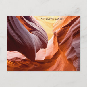 Cartão Postal Do "garganta antílope "