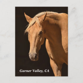 Cartão postal do Garner Valley