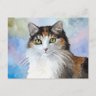 Cartão postal do gato 572