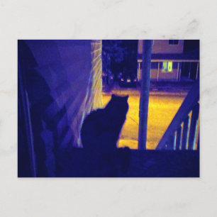 Cartão postal do gato à noite no antigo bairro