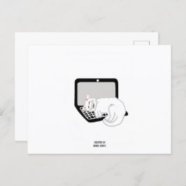 Cartão Postal do Gato Branco Dormindo no Laptop