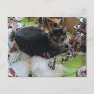 cartão postal do gato de Natal