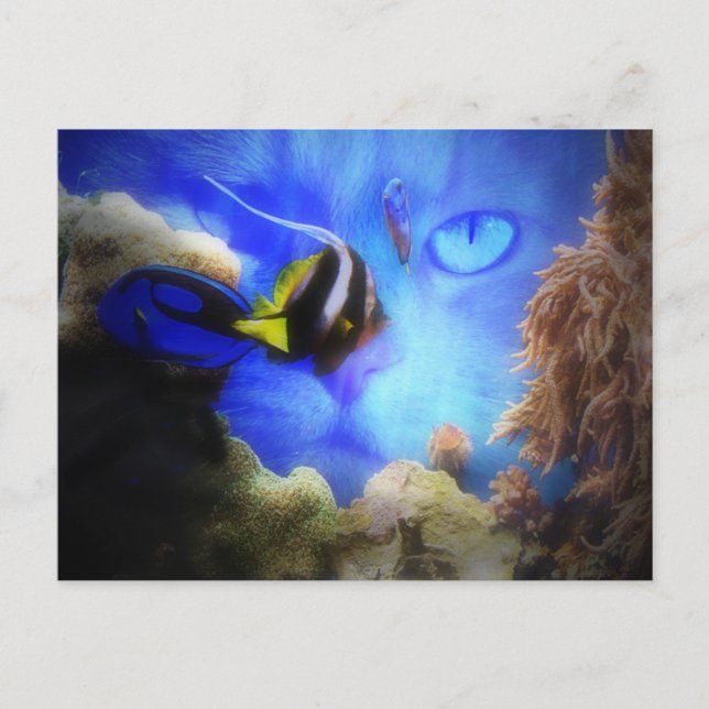 Cartão postal do gato e peixe divertido (Frente)