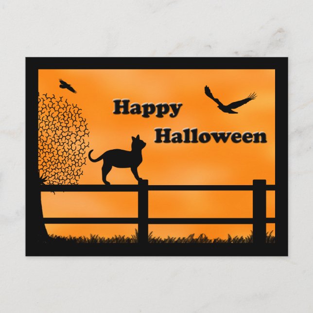 Cartão Postal do Gato Feliz de Halloween (Frente)