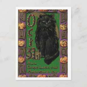 Cartão postal do gato preto do Halloween com ratos