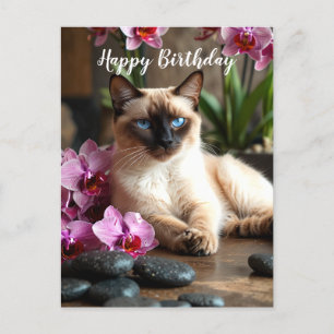 Cartão postal do gato siamês no spa com orquídea r