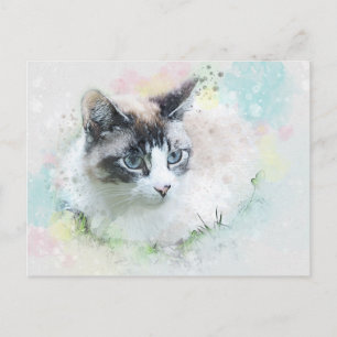 cartão postal do gato sonho