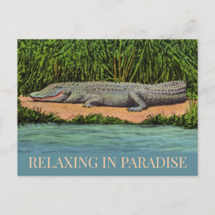 Cartão postal do Gator relaxado da Flórida