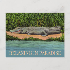 Cartão postal do Gator relaxado da Flórida