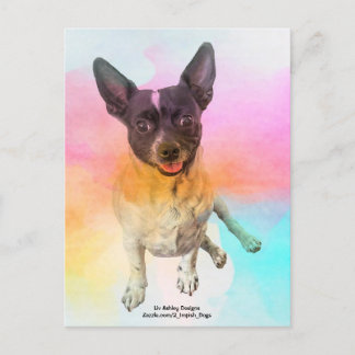 Cartão Postal do Gemma Disco