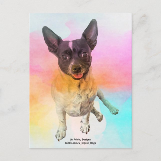 Cartão Postal do Gemma Disco (Frente)