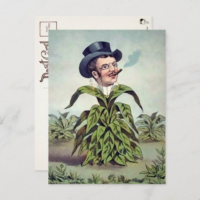 Cartão postal do homem das plantas vitoriano  (Frente/Verso)