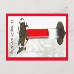 Cartão postal do Hummingbird