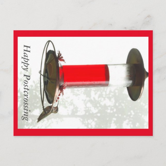 Cartão postal do Hummingbird (Frente)