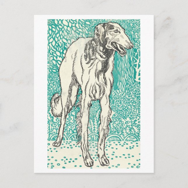 Cartão postal do Impressão Moriz Jung Greyhound (Frente)