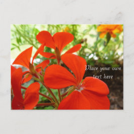 cartão postal do jardim de flores