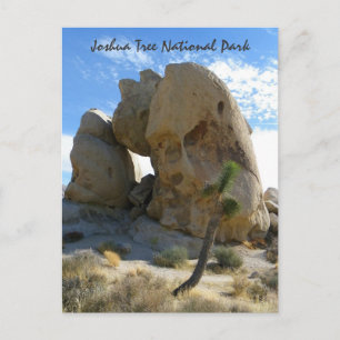 Cartão postal do Joshua Tree Park!